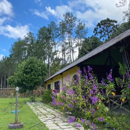 Sitio Cachoeirinha - Araguaia Marechal Floriano Εξωτερικό φωτογραφία