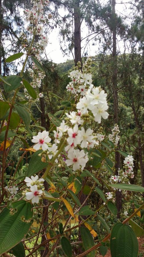 Sitio Cachoeirinha - Araguaia Marechal Floriano Εξωτερικό φωτογραφία